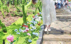 海贼王中文版全集